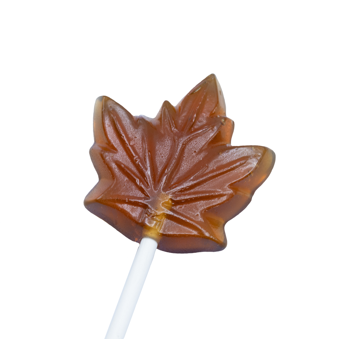 maple lollipop